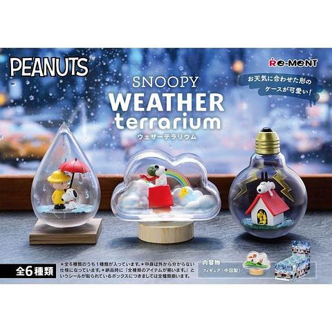 Peanuts - Snoopy Weather Terrarium